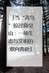 当“青鸟”掠过舜皇山：一场生态与文明的双向奔赴