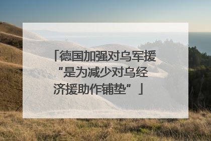 德国加强对乌军援 “是为减少对乌经济援助作铺垫”
