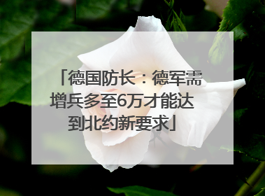 德国防长：德军需增兵多至6万才能达到北约新要求