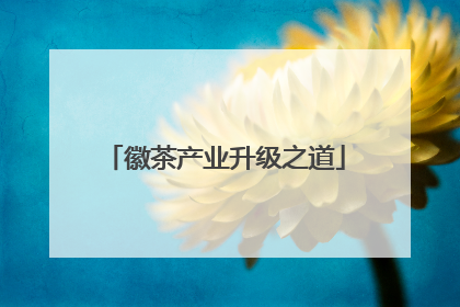 徽茶产业升级之道
