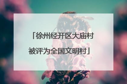 徐州经开区大庙村被评为全国文明村