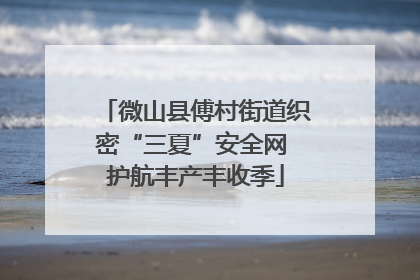 微山县傅村街道织密“三夏”安全网 护航丰产丰收季
