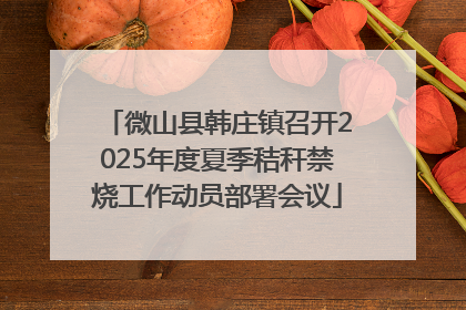 微山县韩庄镇召开2025年度夏季秸秆禁烧工作动员部署会议
