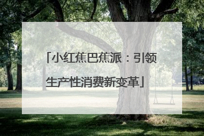小红蕉巴蕉派：引领生产性消费新变革
