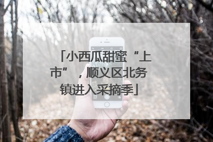 小西瓜甜蜜“上市”，顺义区北务镇进入采摘季