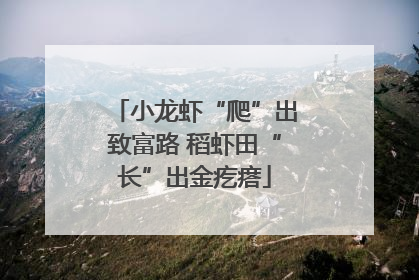 小龙虾“爬”出致富路 稻虾田“长”出金疙瘩