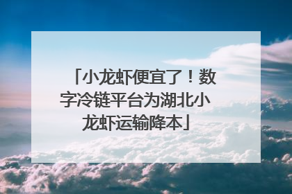 小龙虾便宜了！数字冷链平台为湖北小龙虾运输降本