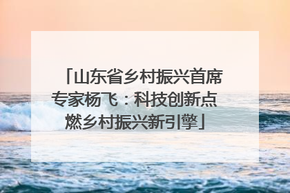 山东省乡村振兴首席专家杨飞：科技创新点燃乡村振兴新引擎