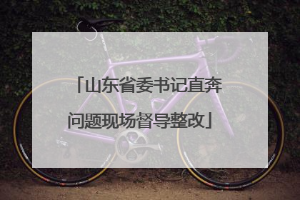 山东省委书记直奔问题现场督导整改