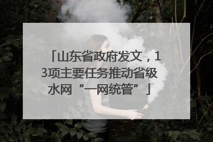 山东省政府发文，13项主要任务推动省级水网“一网统管”