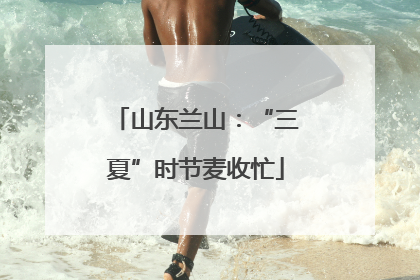 山东兰山：“三夏”时节麦收忙