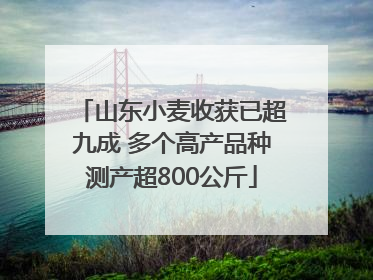 山东小麦收获已超九成 多个高产品种测产超800公斤