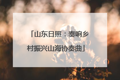 山东日照：奏响乡村振兴山海协奏曲
