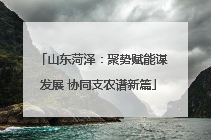 山东菏泽：聚势赋能谋发展 协同支农谱新篇