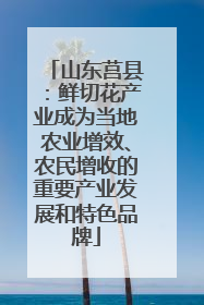 山东莒县：鲜切花产业成为当地农业增效、农民增收的重要产业发展和特色品牌