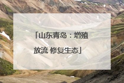 山东青岛：增殖放流 修复生态