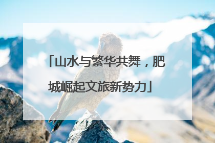 山水与繁华共舞，肥城崛起文旅新势力