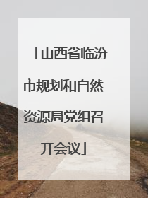 山西省临汾市规划和自然资源局党组召开会议