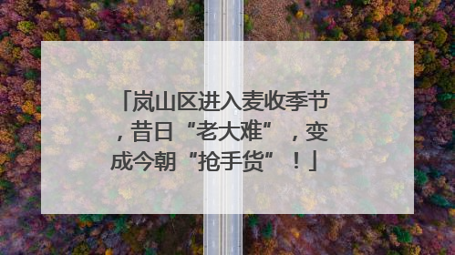 岚山区进入麦收季节，昔日“老大难”，变成今朝“抢手货”！