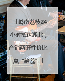 岭南荔枝24小时抵达湖北，产销两旺性价比真“给荔”