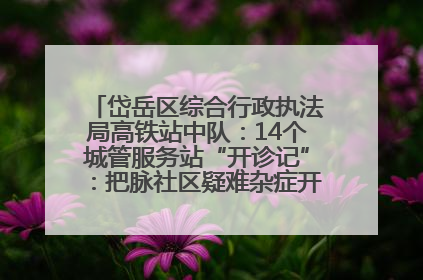岱岳区综合行政执法局高铁站中队：14个城管服务站“开诊记”：把脉社区疑难杂症开出治理良方