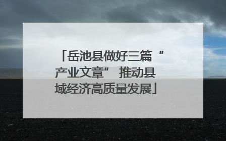岳池县做好三篇“产业文章” 推动县域经济高质量发展