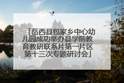 岳西县包家乡中心幼儿园成功举办县学前教育教研联系片第一片区第十三次专题研讨会