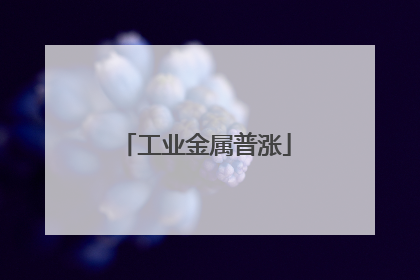 工业金属普涨
