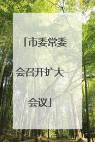 市委常委会召开扩大会议