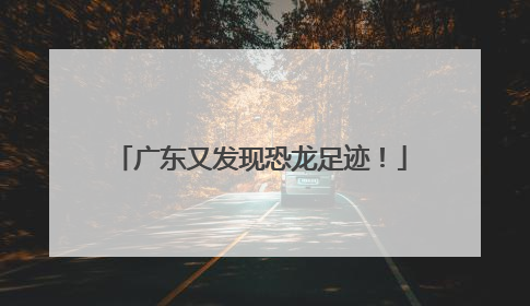 广东又发现恐龙足迹！