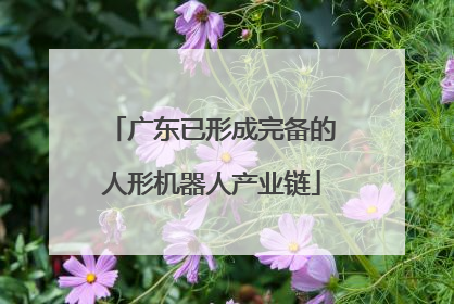 广东已形成完备的人形机器人产业链