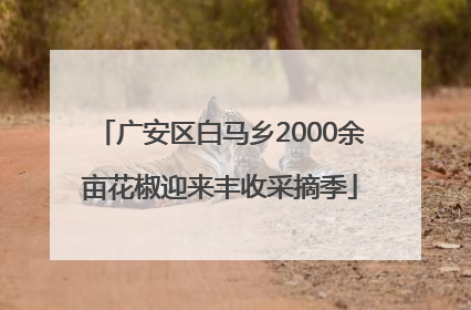 广安区白马乡2000余亩花椒迎来丰收采摘季
