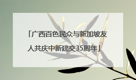 广西百色民众与新加坡友人共庆中新建交35周年