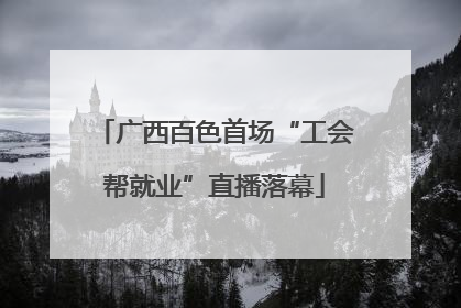 广西百色首场“工会帮就业”直播落幕