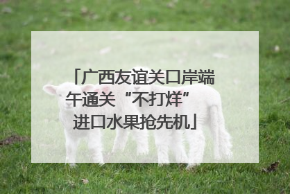广西友谊关口岸端午通关“不打烊” 进口水果抢先机