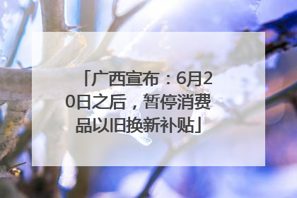 广西宣布：6月20日之后，暂停消费品以旧换新补贴