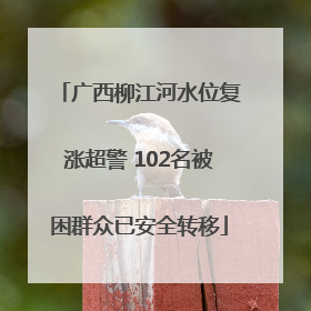 广西柳江河水位复涨超警 102名被困群众已安全转移