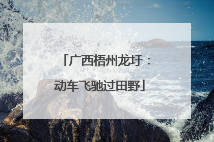广西梧州龙圩：动车飞驰过田野