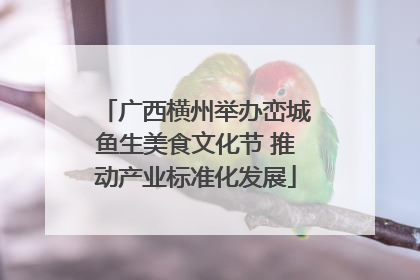 广西横州举办峦城鱼生美食文化节 推动产业标准化发展