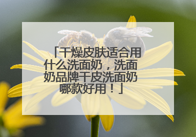 干燥皮肤适合用什么洗面奶，洗面奶品牌干皮洗面奶哪款好用！