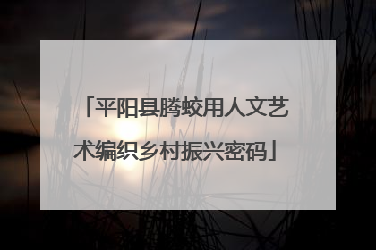 平阳县腾蛟用人文艺术编织乡村振兴密码