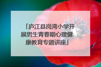 庐江县岗湾小学开展男生青春期心理健康教育专题讲座