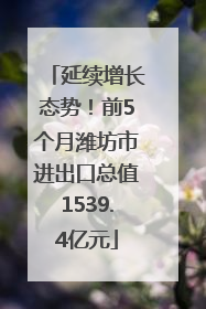 延续增长态势！前5个月潍坊市进出口总值1539.4亿元