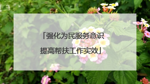 强化为民服务意识 提高帮扶工作实效