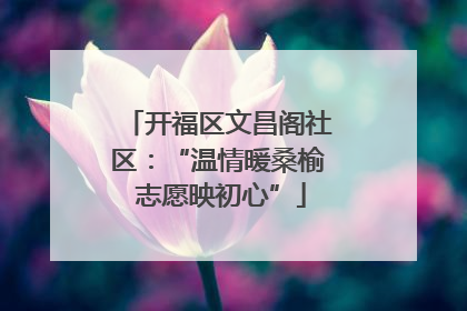 开福区文昌阁社区：“温情暖桑榆 志愿映初心”