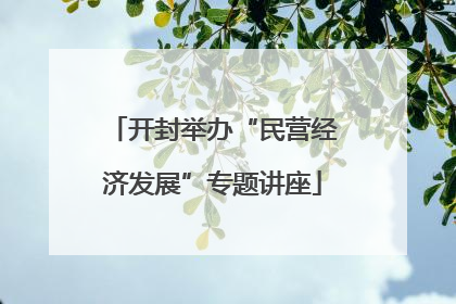 开封举办“民营经济发展”专题讲座