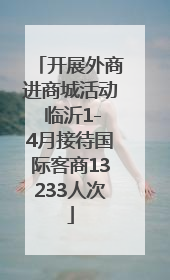 开展外商进商城活动 临沂1-4月接待国际客商13233人次