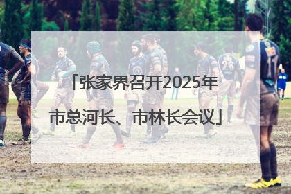 张家界召开2025年市总河长、市林长会议