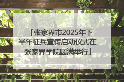 张家界市2025年下半年征兵宣传启动仪式在张家界学院圆满举行