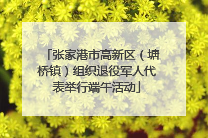 张家港市高新区（塘桥镇）组织退役军人代表举行端午活动